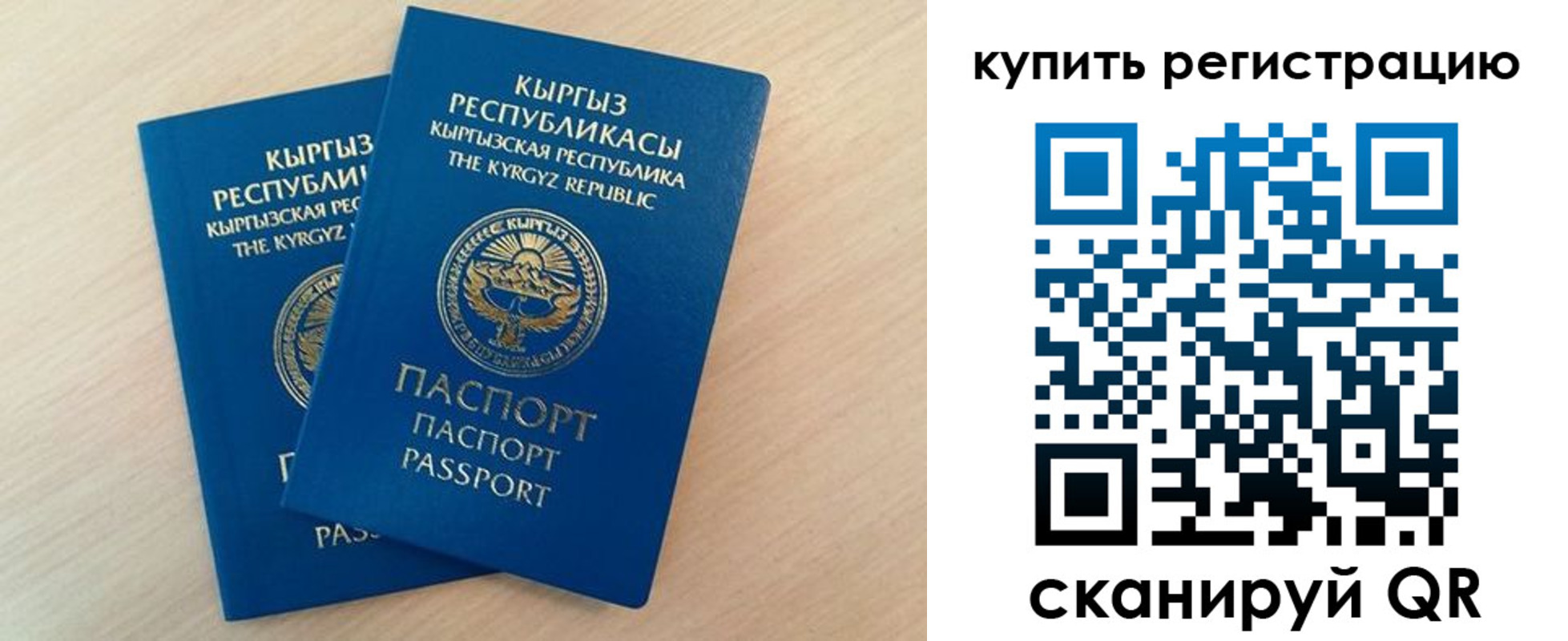 временная регистрация поиск в Ростовской области